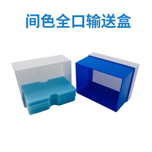 Caja para modelos dentales, blanca y azul, de yeso, para guardar dentaduras postizas, con estuche de almacenamiento completo. - Product Image 4