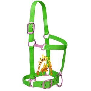 2024 nouveau sur mesure Style occidental cheval bride licou basique Nylon Polyester Tack équipement en gros - Product Image 1