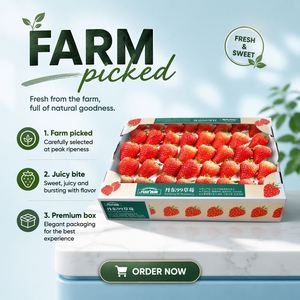 Fresas Dandong 99 Recogidas en Campo, Caja Rígida Premium, Empaque de Fruta Fresca y Dulce - Product Image 1