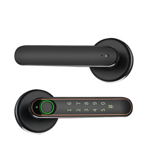 Serrures intelligentes Tuya les plus vendues, étanches, pour portes à tenon, conversion Wi-Fi, Cerraduras Inteligentes Para Vidrios pour bois - Product Image 5