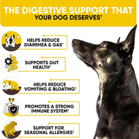 Suppléments nutritionnels probiotiques pour animaux de compagnie avec probiotiques et enzymes pour soutenir la digestion en OEM/ODM de friandises moelleuses pour chiens