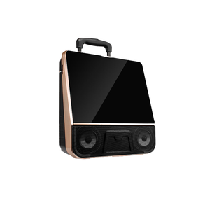 Vuông Dance âm thanh với màn hình di động ngoài trời sạc loa Máy nghe nhạc karaoke bài hát Micro không dây - Product Image 2