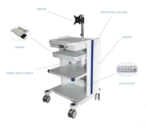 <span class=keywords><strong>Chariot</strong></span> d'hôpital <span class=keywords><strong>Chariot</strong></span> d'endoscope d'examen d'endoscopie flexible et rigide <span class=keywords><strong>Chariot</strong></span> d'endoscope de <span class=keywords><strong>tour</strong></span> endoscopique médical - Product Image 2