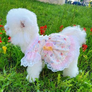 Dog Lolita Dress Pink Breathable <b>Princess</b> Cut Spring Small Medium Dogs Teddy Bichon Frise Pet <b>Clothes</b> - Product Image 2
