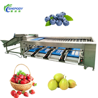 Shepody Automatische 304 RVS Appel Ui Sinaasappel Blauwe Bes Aardappel Avocado Dadel Fruit Tomaat Sorteer- en Graderingsmachine