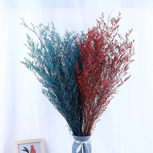 Flores preservadas de Caspia, tallos de limonio, flores secas, suministros para manualidades, decoración Floral para el hogar, boda, flores para jarrón, flores DIY - Product Image 2