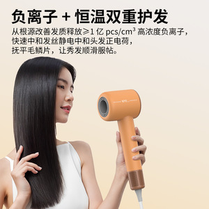Oulaishi Hair Dryer 1600W DC Motor Negative Ion Home Travel Use - Product Image 2