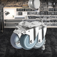 Roue pivotante en acier inoxydable SUS 304 de 1 pouce avec frein, roues silencieuses en TPR grises, roulement silencieux pour meubles, M12 personnalisable 316