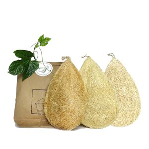 Lot de 3 épurateurs de légumes de cuisine durables 100% tampon à récurer biodégradable - Product Image 1
