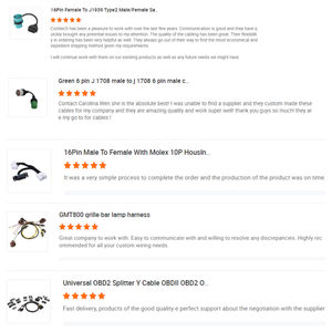 Conector OBD para Arné<span class=keywords><strong>s</strong></span> de <span class=keywords><strong>Tesla</strong></span> <span class=keywords><strong>Model</strong></span> <span class=keywords><strong>S</strong></span> X 2015, Cable de Batería para Auto, Cableado Eléctrico Automotriz de Alta Calidad y Durabilidad para Reparación de Vehículos - Product Image 6