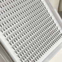 Plateaux XXL Pré-éventails à Tige Courte 10D Volume Cils 0.05 mm Courbure C D 8-18 mm Extensions de Cils Faits à la Main Matières Premières Hylong