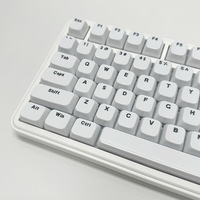 Spot Wholesale Minimalist White Keycaps MDA Height 115-key Side-printed Characters PC Semi-transparent Luminous Keyboard Gorras