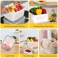 3 stuks plastic fruit- en groenteopslagcontainers, verwijderbare zeef, clip-on deksel, vriezerbestendig, multifunctionele koelkastopbergdoos