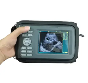 V8 Big promotional price hottest veterinary ultrasound machine with convex rectal probe for dogs, cows, sheep and horse