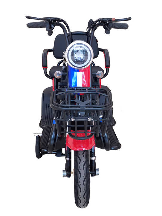 L2E- P COC, EEC Passenger Tricycle, Scooter, Trike, Bike to Europe
