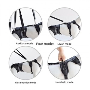 Imbracatura di Supporto per la Mobilità degli Animali Domestici con Etichetta Privata Personalizzata, Taglie S-XL, Imbracatura Completa per Cani Anziani, Produzione e Fornitura - Product Image 3