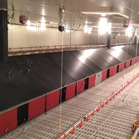Nid de ponte automatique de haute qualité volaille poulet équipement de ferme couche équipement d'élevage matériau galvanisé à chaud nid de ponte