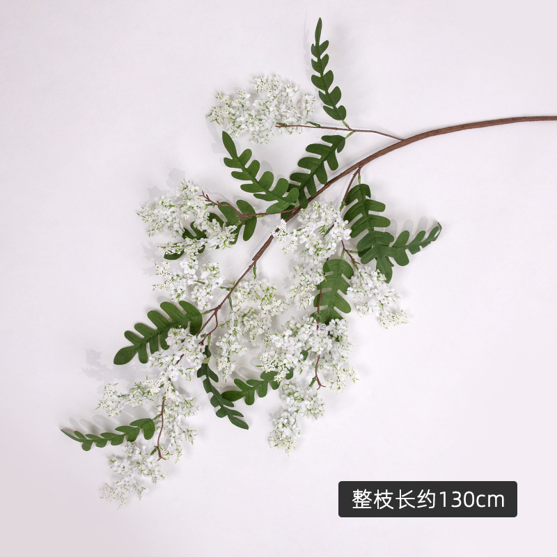 [1 pièce] Fleur blanche de Sophora japonica - 130