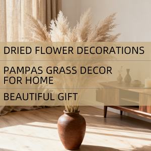 Hierba de Pampas Premium, 12 Tallos de 32 Pulgadas, Naturalmente Esponjosa y de Bajo Mantenimiento, Cuidado Cero, Perfecta para Rellenar Jarrones Grandes en Cualquier Espacio - Product Image 3