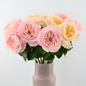 Rosa artificial realista de tacto de seda con sensación hidratante para juego de regalo romántico y arreglo de decoración de eventos corporativos <span class=keywords><strong>VIP</strong></span> - Product Image 4