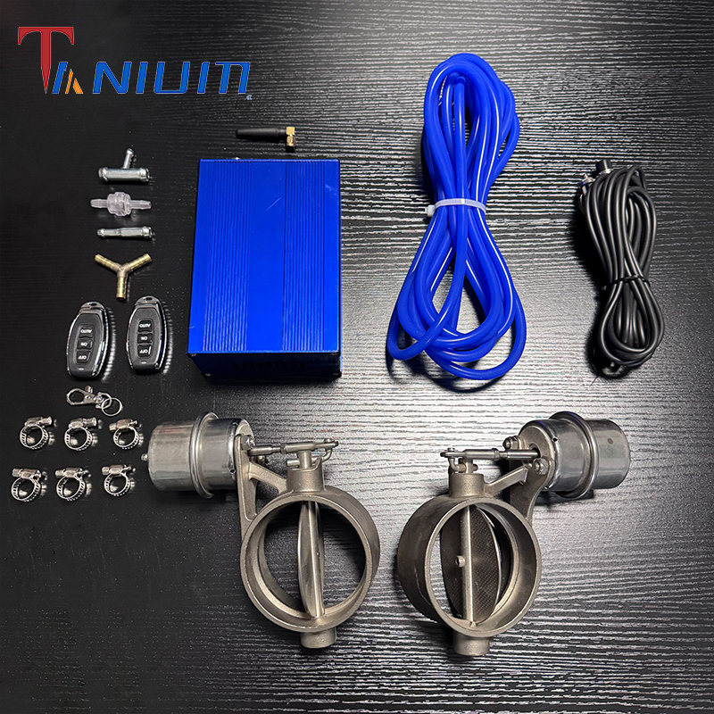 Tanium Customized Valvetronic Exhaust System Stainless