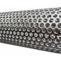 Round Hole 304 316L Stainless Steel Perforated Metal Filter Cylinder with Pump for Water Treatment