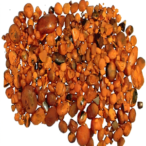 Cálculos Renales de Ganado de Alta Calidad - Product Image 1
