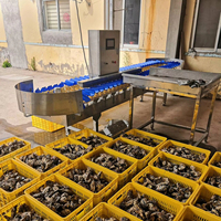 Aardappel Appel Mango Sorteerapparatuur Sinaasappel Sorteermachine Fruit Automatische Garnalen Oester Vis Sorteermachine en Sortering op Gewicht