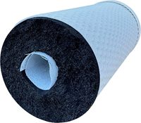 Cartouche filtrante au charbon FOF de 20 pouces, inhibiteur de calcaire, filtre anti-calcaire, filtre à tige de charbon Fauveau, compatible avec un boîtier de 20x4.5 pouces