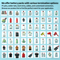Paket Baterai Terenkripsi Khusus untuk Produk Elektronik Konsumen Tegangan/Kapasitas yang Dapat Disesuaikan SMBus/I2C/CAN CE/RoHS/UN38.3