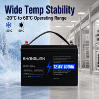 Batterie LiFePO4 12V 100Ah pour stockage d'énergie domestique, panneau solaire, cycle profond 1280Wh, BMS intelligent, phosphate de fer lithium pour systèmes hors réseau