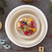Assiette jetable carrée ou ronde en bagasse de canne à sucre, de qualité supérieure, résistante et micro-ondable, idéale pour les pique-niques