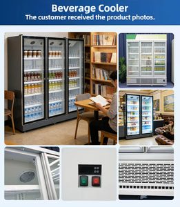 Refrigerador Comercial con <span class=keywords><strong>Puerta</strong></span> de Vidrio para Bebidas, Refrigerador de <span class=keywords><strong>Doble</strong></span> <span class=keywords><strong>Puerta</strong></span> para Exhibición de Bebidas para Supermercados - Product Image 4