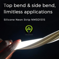 Bande lumineuse néon LED personnalisée 1515/1516/1616 vue de dessus/vue latérale 3D flexion libre CRI90 Double extérieur étanche IP67 USB NFC