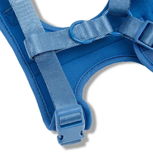 작은 개를 위한 튼튼한 폴리에스터 끈과 아이 캐치 형광 녹색 따뜻한 테디 셰르파 직물 개 하네스 강아지 - Product Image 3