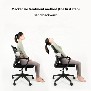 Mini oreiller lombaire chaise de bureau coussin de soutien dorsal avec sangle réglable oreiller de soutien lombaire pour le soulagement de la douleur au bas du dos - Product Image 4