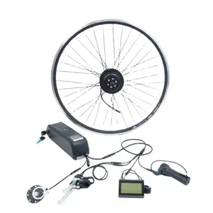 Cheap electric motors 36v250w 48v1000w ebike conversion kit with bike light down tube battery optional