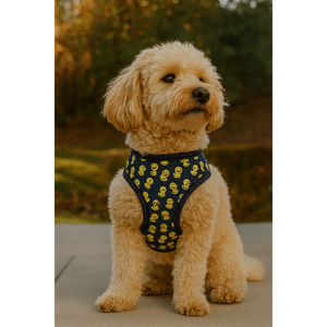 Gilet traspirante in cotone per animali domestici misura M, stampa animalier assortita e design solido, comoda imbracatura per cani, confezione da 12 - Product Image 1