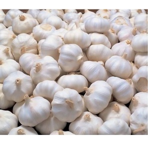 <b>Fresh</b> <b>Garlic</b> Premium Quality Natural Farm <b>Fresh</b> <b>Garlic</b> Bulbs Export Grade Cooking Spice Ingredient Wholesale Supply - Product Image 5