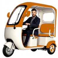 Tricycle électrique 48V 800W pour adultes, couleur personnalisable avec auvent coupe-vent