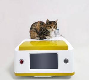 Hochwertiges Produkt Neues 980Nm Diodenlaser Tierärztliches Physiotherapie-Gerät zur Schmerzlinderung für Haustiere - Product Image 2