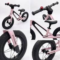 Vélo d'équilibre pour tout-petits, cadre en acier au carbone, roues en EVA, marque privée, OEM, ODM, fabricant en gros