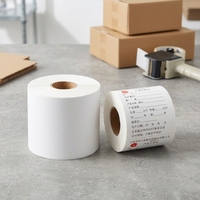 Etiquetas Térmicas Directas en Blanco de Alta Calidad, Venta Directa de Fábrica, 500 Etiquetas/rollo, 60*80mm