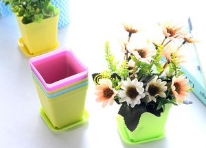 Chậu hoa nhỏ nhiều màu P272, chậu cây để bàn, cây mọng nước, chậu hoa nhựa, trang trí nhà cửa, hình vuông, màu kẹo ngọt - Product Image 5