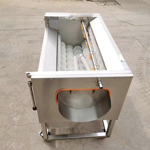 Máquina de lavado y pelado de yuca, patata dulce, ñame, verdura, raíz, tipo cepillo pequeño - Product Image 2