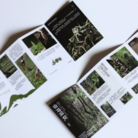 Impression personnalisée de catalogues pliables en 4 volets, dépliants commerciaux, livrets, brochures pliées pour la publicité de produits et de marques