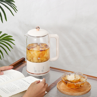Bouilloire Électrique Mini Blanche de 800 ml avec 6 Menus Automatiques, Infuseur et Verre, Taille Compacte 0,8 L pour Thé et Infusions Saines