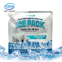 Sac isotherme Doypack personnalisé en PE avec bec verseur latéral pour la cryothérapie, sacs de gel réutilisables pour congélateur