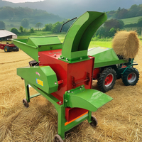 Broyeur de Fourrage Multifonctionnel 680 220V, Broyeur à Grain Humide et Sec Domestique, Machine à Hacher la Paille
