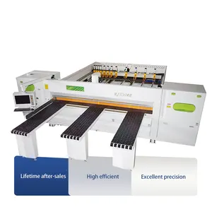 Factory Direct Famous Brand Plc Horizontal Panel Saw Machine For Sale